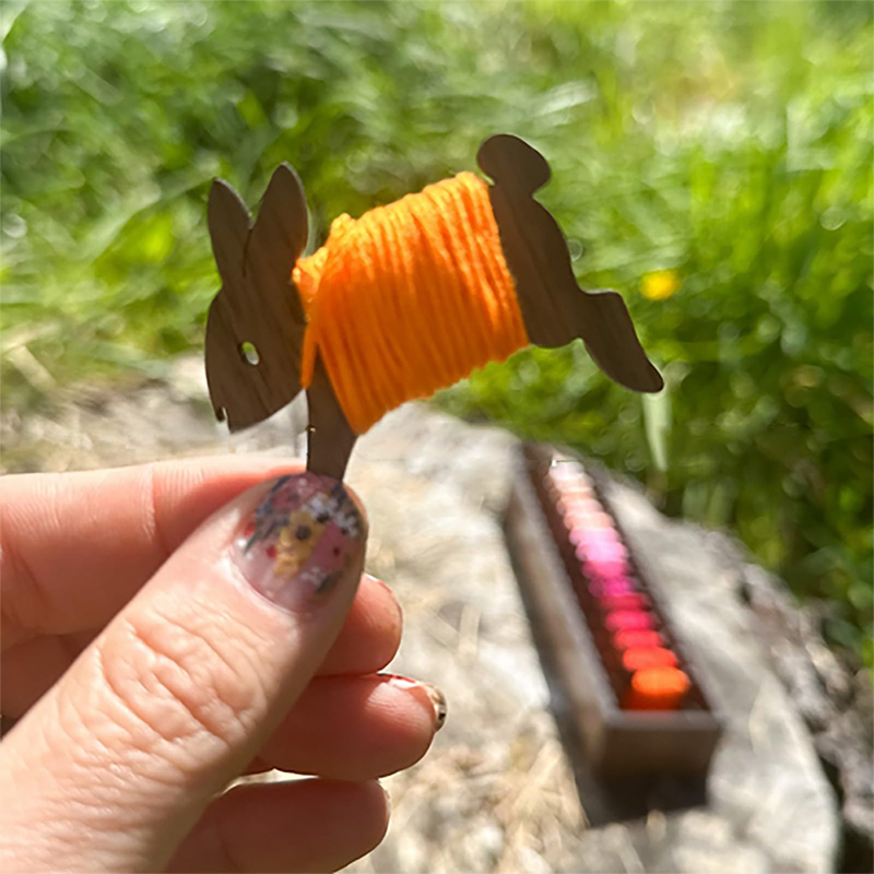 Set di bobine di gatto di peco - Embroidery Floss recensione e prezzo