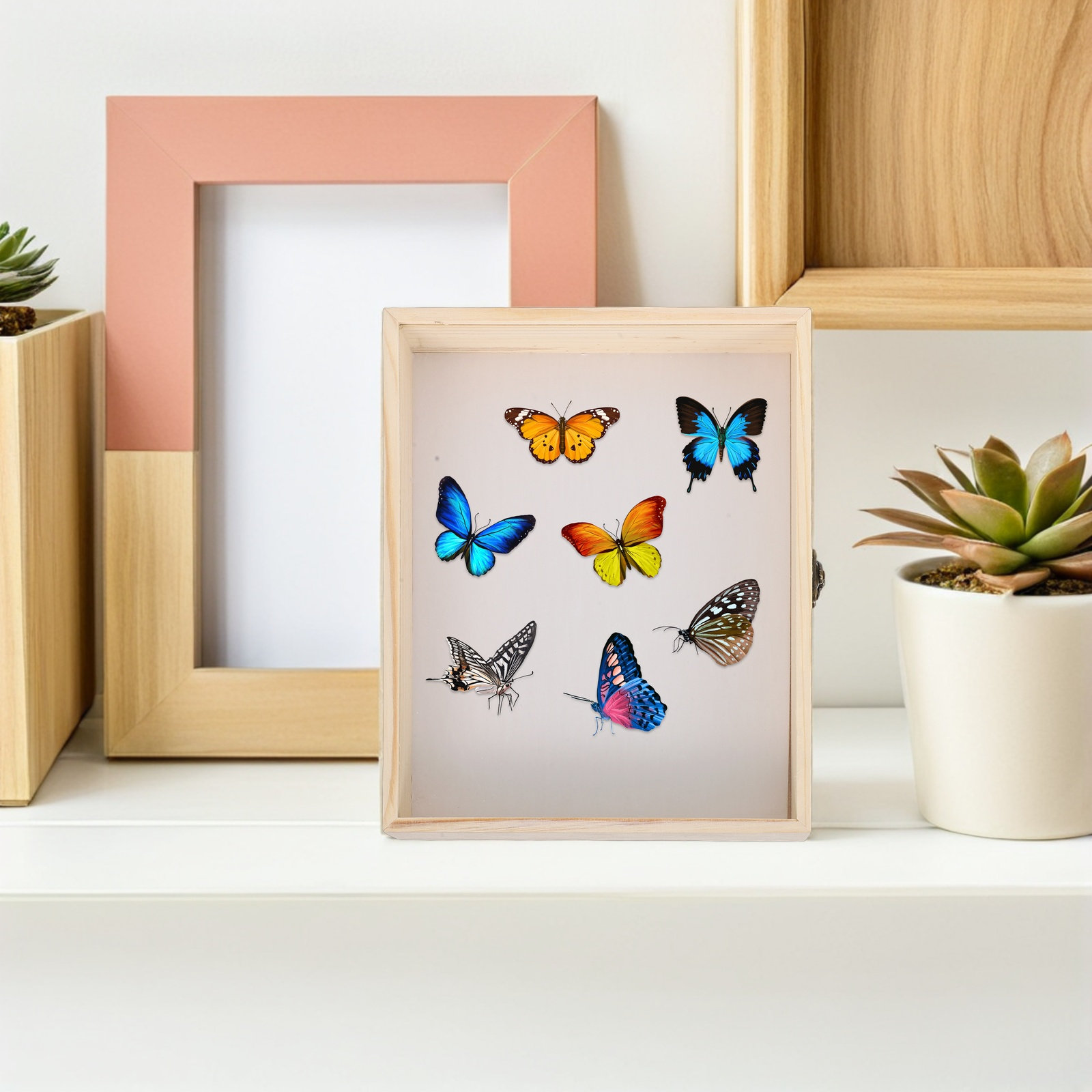 Scatola Espositiva in Legno Ma - Frame Display Wood recensione e prezzo