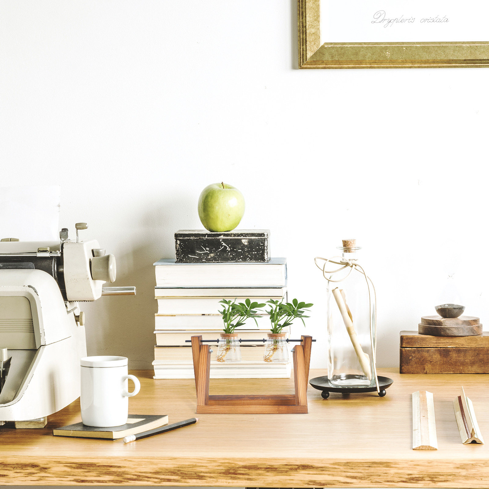 Vaso idroponico con struttura  - Frame Display Wood recensione e prezzo